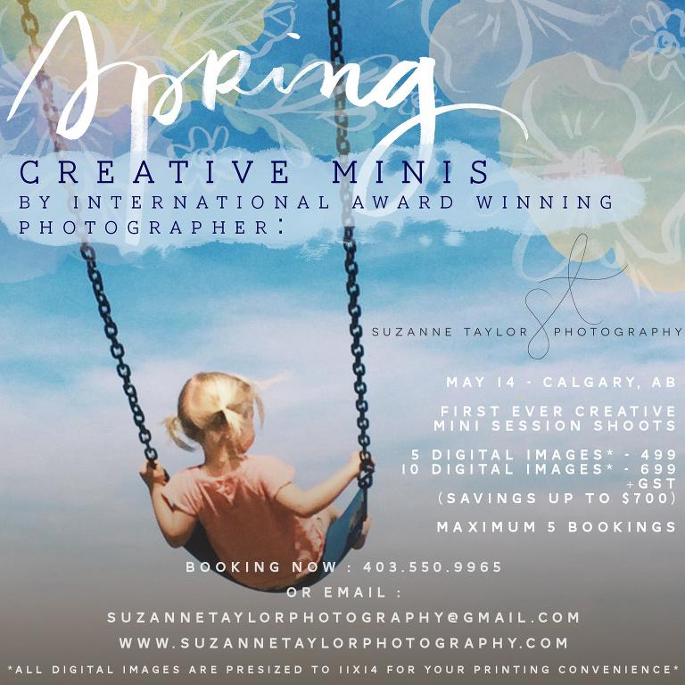 Mini Creative Session with Suzanne Taylor Photography