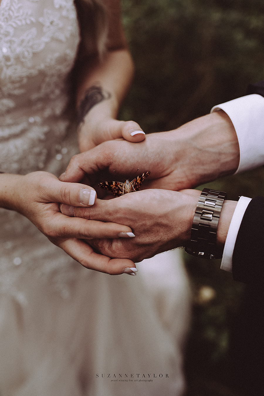 A couple on their wedding day hold a painted lady butterfly to take flight after their Calgary Wedding.